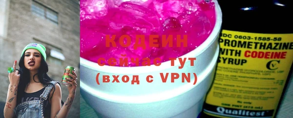 шишки Абаза