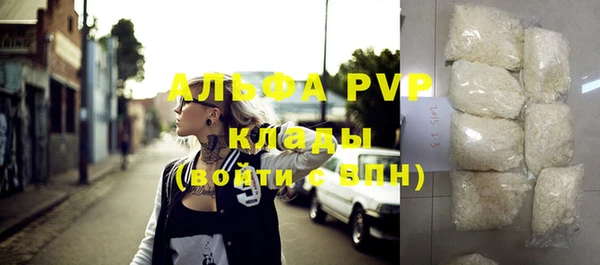 шишки Абаза