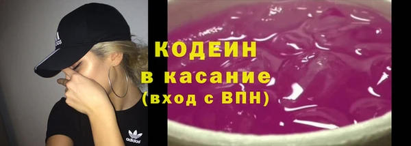 шишки Абаза