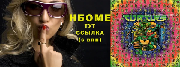 шишки Абаза