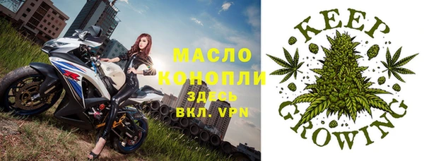 шишки Абаза
