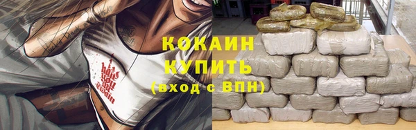 шишки Абаза