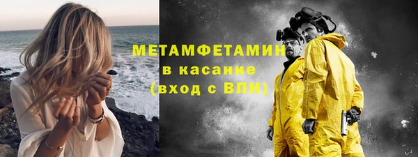 шишки Абаза