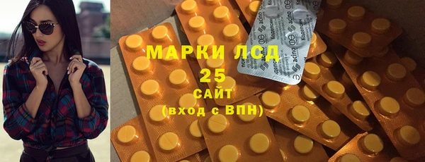 шишки Абаза
