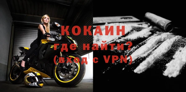 шишки Абаза