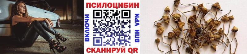 Галлюциногенные грибы ЛСД  Усолье 